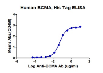 Recombinant human BCMA protein, C-His-Avi (HEK293)
