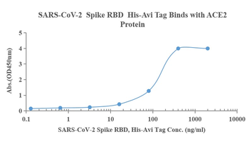 Recombinant SARS-Cov-2 Spike RBD protein, His & Avi (HEK293)