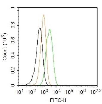 CD68 Rabbit Polyclonal Antibody (FITC)