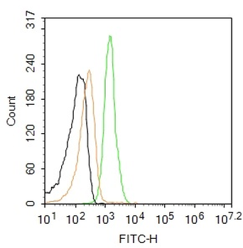 CX3CR1 Rabbit Polyclonal Antibody (FITC)