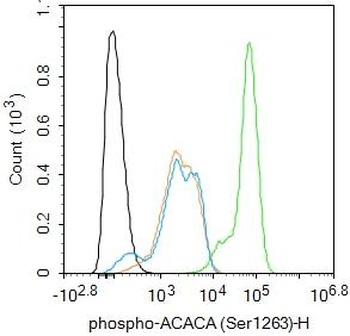 Phospho-ACACA (Ser1263) Rabbit Polyclonal Antibody