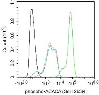 Acetyl Coenzyme A Carboxylase alpha (Phospho-Ser12 antibody)