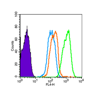 Alpha-synuclein (nitro-Tyr39) Rabbit Polyclonal Antibody