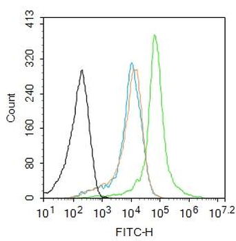C6orf115 Rabbit Polyclonal Antibody