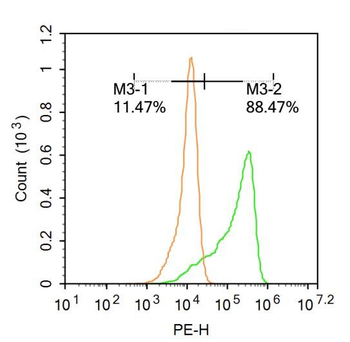 CCL26 Rabbit Polyclonal Antibody