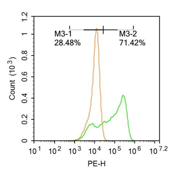 CCL26 Rabbit Polyclonal Antibody