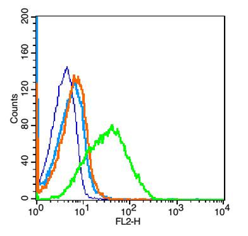 CD1d Rabbit Polyclonal Antibody