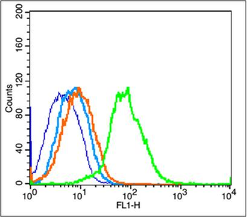 Phospho-CXCR4 (Ser339) Rabbit Polyclonal Antibody