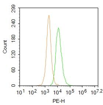 Emx1 Rabbit Polyclonal Antibody