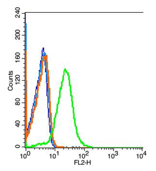 GPR110 Rabbit Polyclonal Antibody