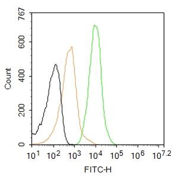Somatostatin 14/Somatostatin 28 Rabbit Polyclonal Antibody (BF488)