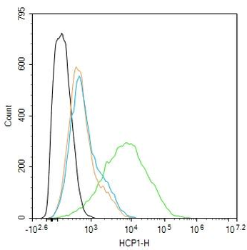HCP1 Rabbit Polyclonal Antibody
