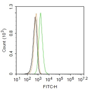 AIF1/Iba1 Rabbit Polyclonal Antibody (FITC)