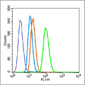 P2Y10 Rabbit Polyclonal Antibody