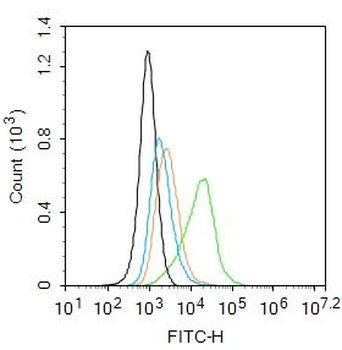 P2Y8 Rabbit Polyclonal Antibody