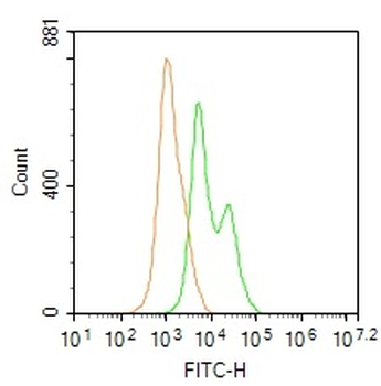 PIK3 gamma Rabbit Polyclonal Antibody