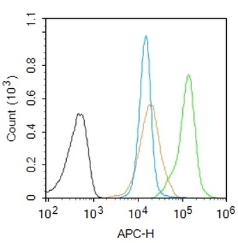 SOX4 Rabbit Polyclonal Antibody