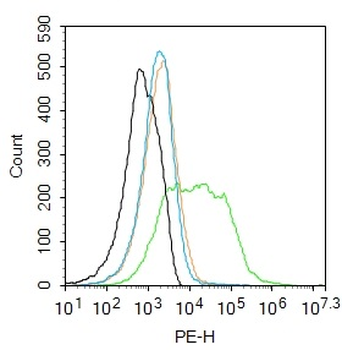 ST18 Rabbit Polyclonal Antibody