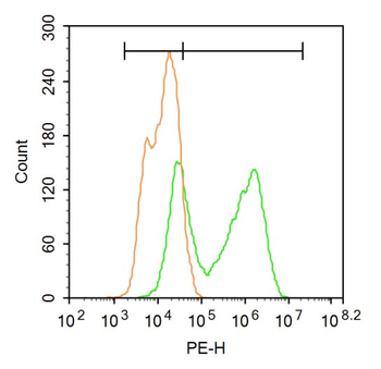 TBX3 Rabbit Polyclonal Antibody