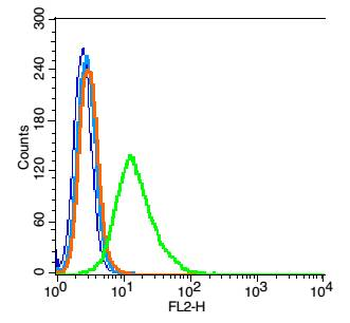 TRIP4 Rabbit Polyclonal Antibody
