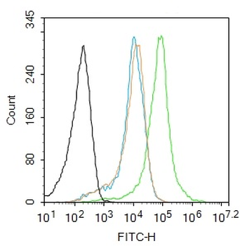 WRB Rabbit Polyclonal Antibody