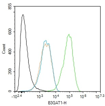 B3GAT1 Rabbit Polyclonal Antibody