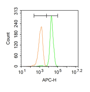ATXN10 Rabbit Polyclonal Antibody (BF647)