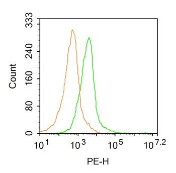 Contactin 1 Rabbit Polyclonal Antibody