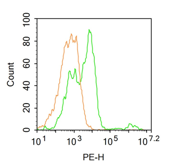Contactin 1 Rabbit Polyclonal Antibody