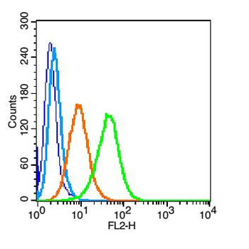 CD101 Rabbit Polyclonal Antibody