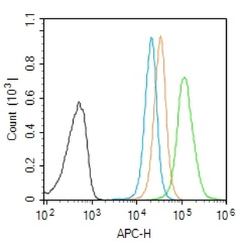 GDF9 Rabbit Polyclonal Antibody