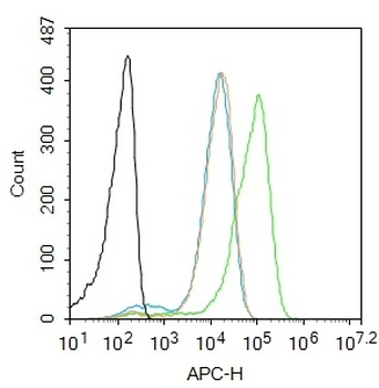 Phospho-GRLF1 (Tyr1087) Rabbit Polyclonal Antibody