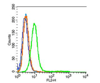 Perilipin 1 Rabbit Polyclonal Antibody
