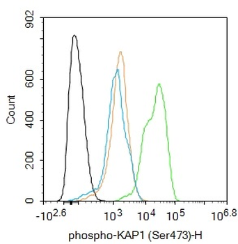 Phospho-TRIM28 (Ser473) Rabbit Polyclonal Antibody