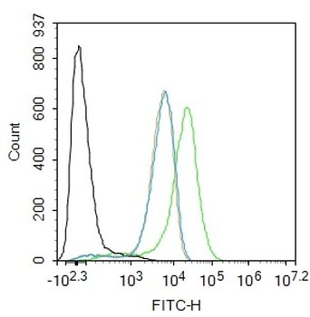 LXR alpha Rabbit Polyclonal Antibody