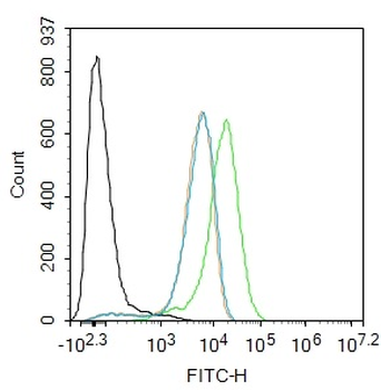 LXR alpha + LXR beta Rabbit Polyclonal Antibody