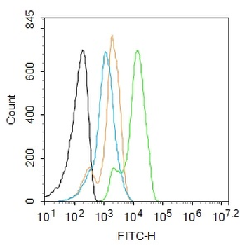 TNNI3 Rabbit Polyclonal Antibody