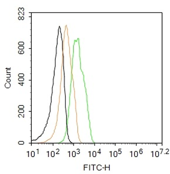 ITGA11 Rabbit Polyclonal Antibody (FITC)