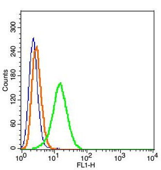 IGSF9 Rabbit Polyclonal Antibody