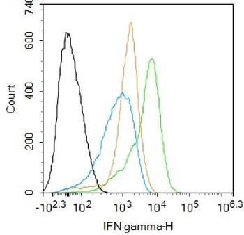 IFN gamma antibody