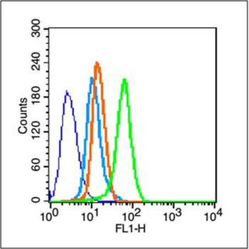 MDR1 Rabbit Polyclonal Antibody
