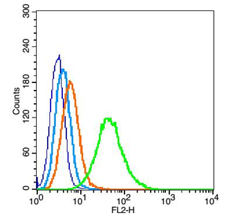 PIWIL1 Rabbit Polyclonal Antibody