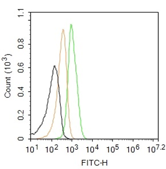 NMES1 Rabbit Polyclonal Antibody (FITC)