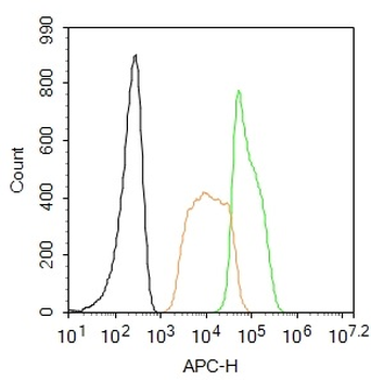 TFCP2C Rabbit Polyclonal Antibody (BF647)