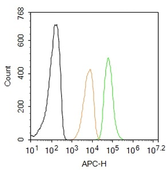 C9orf86 Rabbit Polyclonal Antibody (BF647)