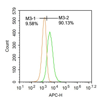 TAAL6 Rabbit Polyclonal Antibody (BF647)