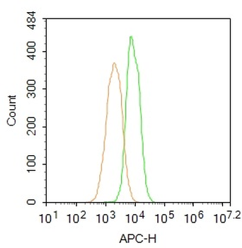 P40/RABEPK Rabbit Polyclonal Antibody (BF647)
