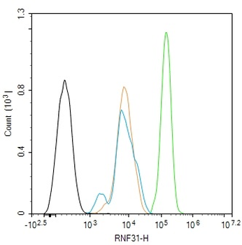 RNF31 Rabbit Polyclonal Antibody