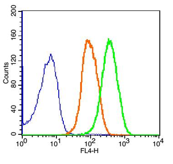 CD168 Rabbit Polyclonal Antibody