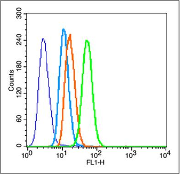 Bax Rabbit Polyclonal Antibody